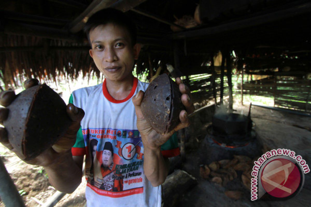 Bone Bolango Miliki 372 Unit Usaha Aren