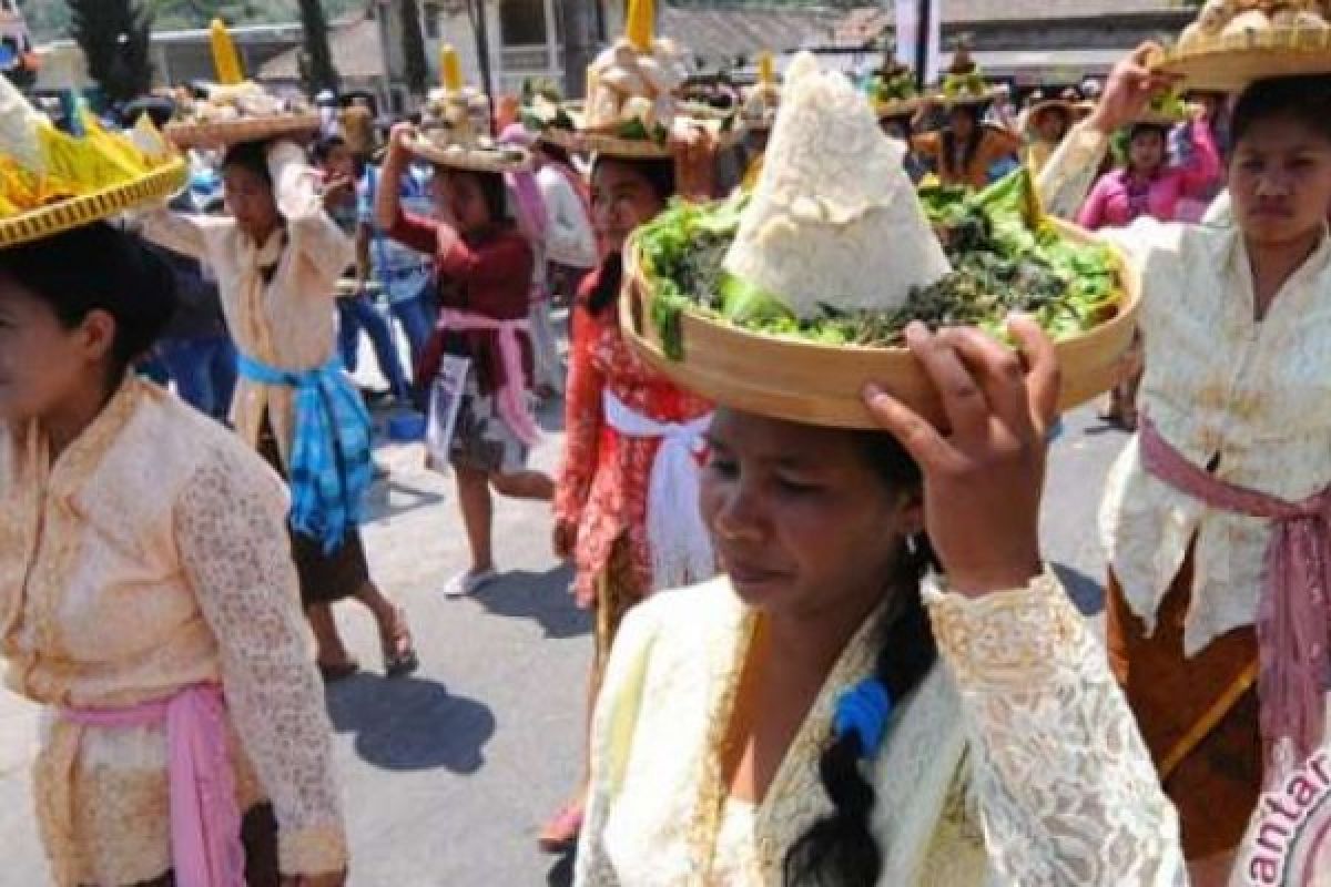 35 Kelompok Ramaikan Kirab Budaya Pelangi Bumi Merapi Sleman