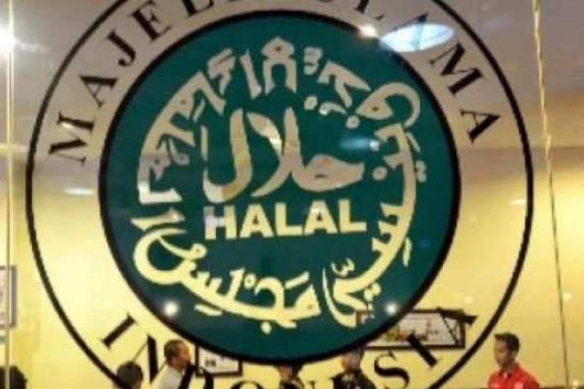 Begini Upaya Pemprov Riau Menjadi Destinasi Wisata Halal Di Indonesia