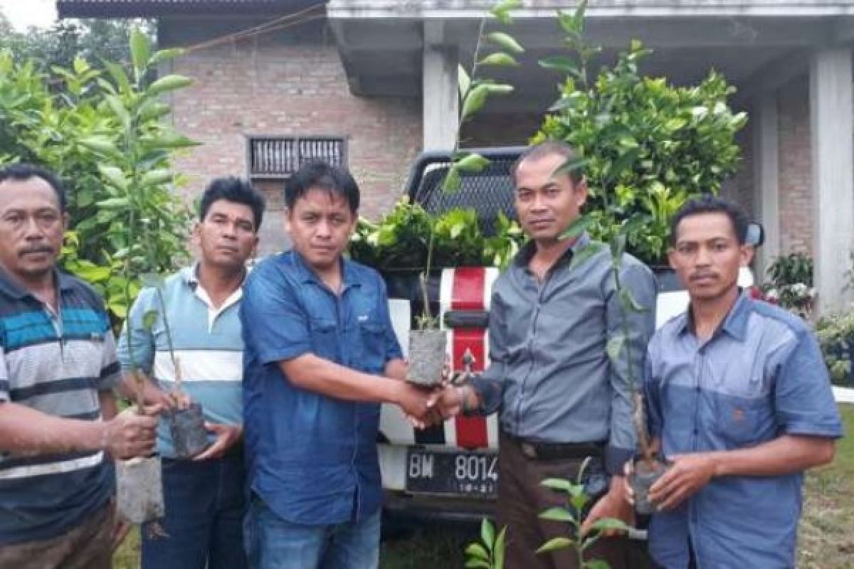 Kelompok Tani Air Terjun Peroleh Bantuan Bibit, Pupuk dan Pestisida