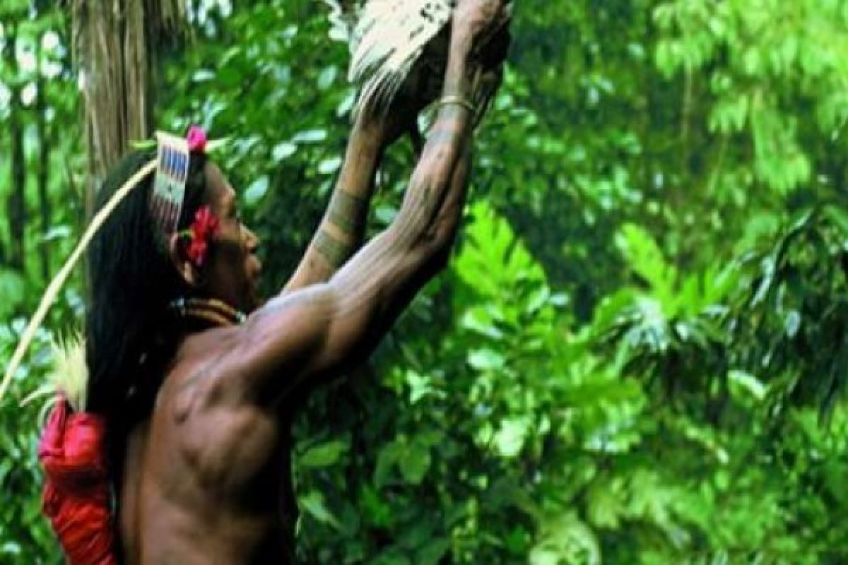 Pameran Tentang Kehidupan Suku Mentawai Hadir Di Museum Belanda