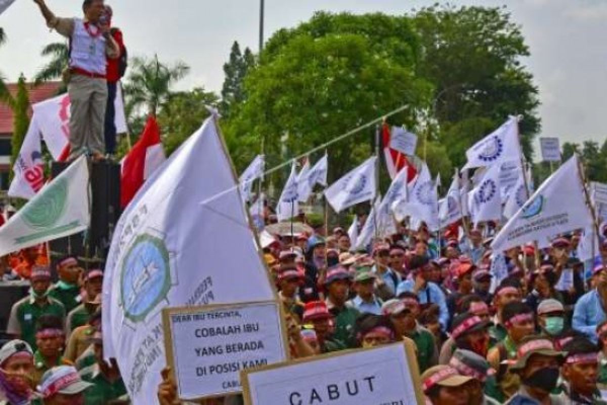 Ribuan Buruh Kehutanan  Demo Pembatalan Permen-LHK P.17/2017 Tentang HTI