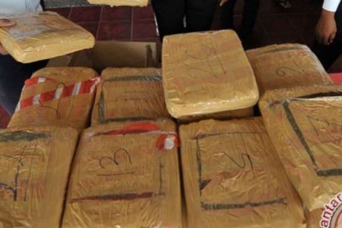 Seorang Perempuan Di Inhil Diciduk Atas Kepemilikan 2,5 Kilogram Ganja