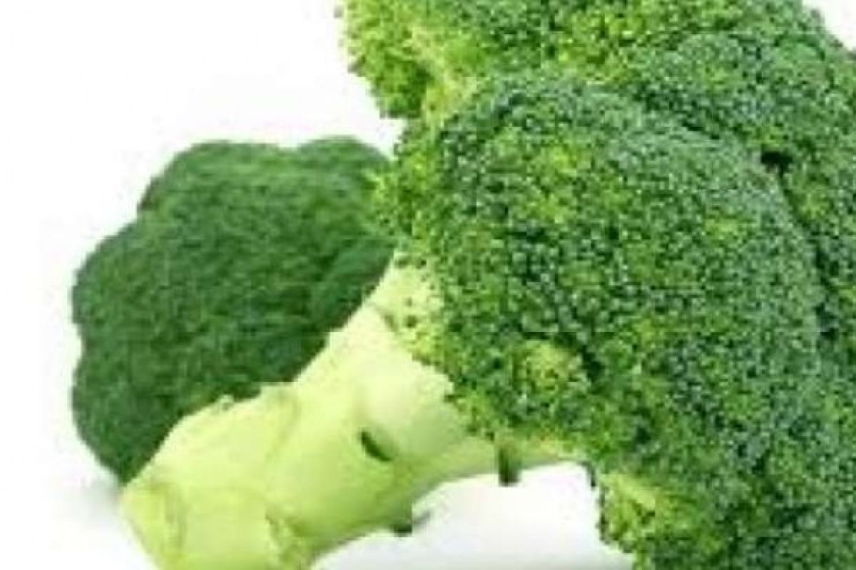 Ternyata Konsumsi Brokoli Baik Untuk Usus Anda
