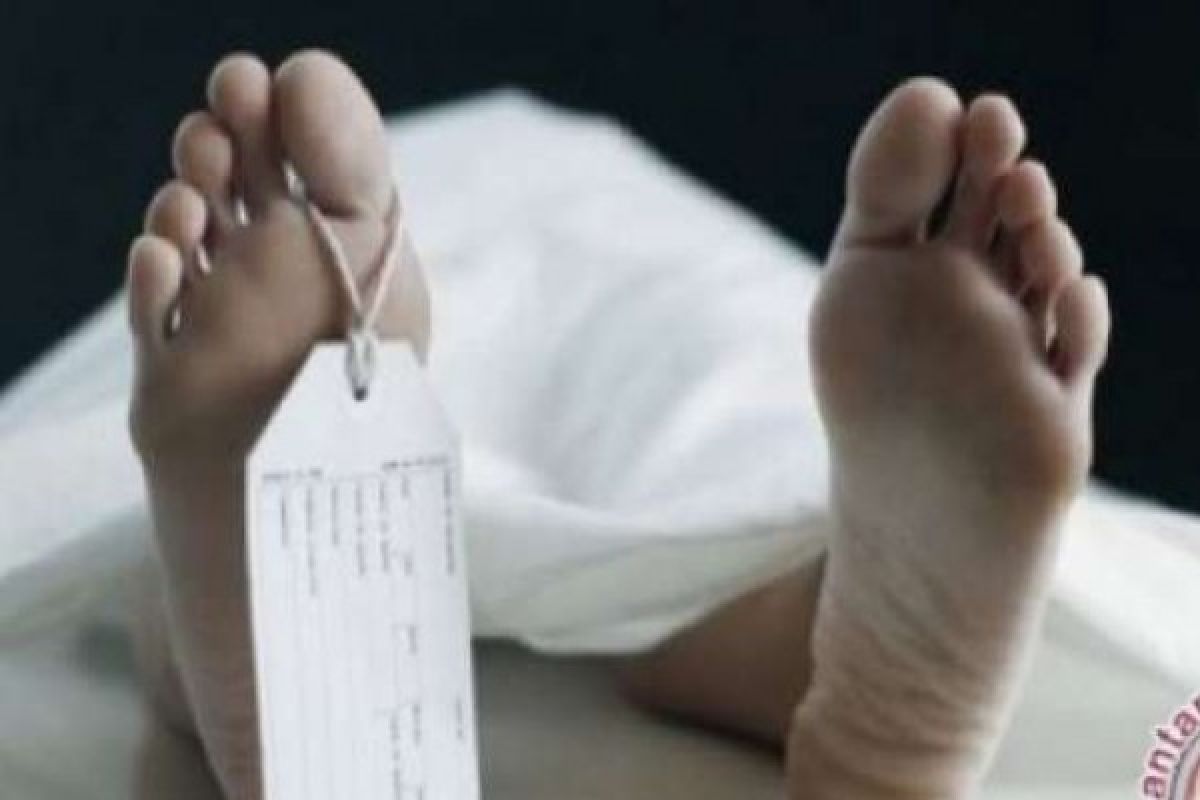Terungkap Sudah Motif Pembunuhan Perempuan Di Kamar Hotel Pekanbaru 