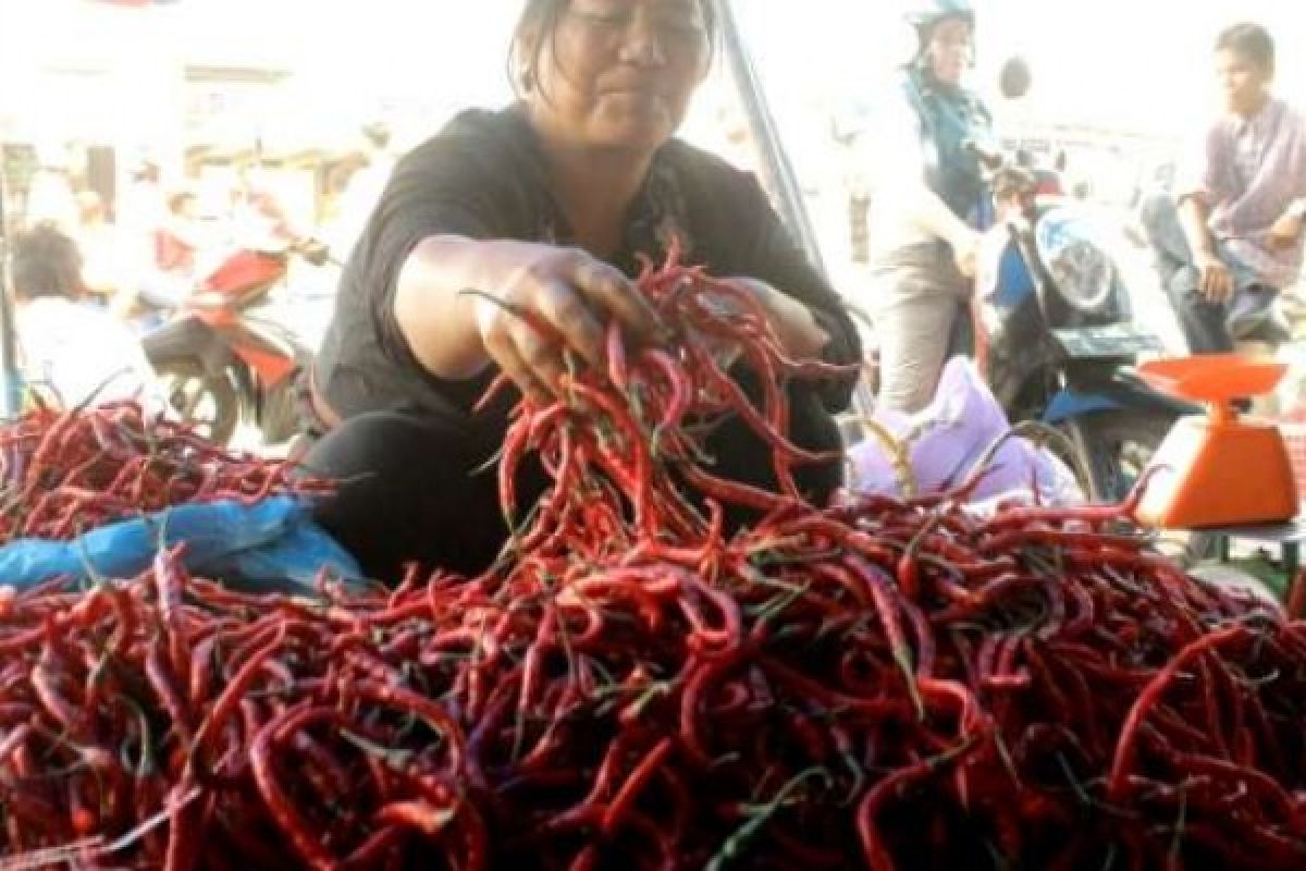 Warga Pekanbaru Keluhkan Harga Cabai Merah Melonjak Hingga Rp44.000/Kg