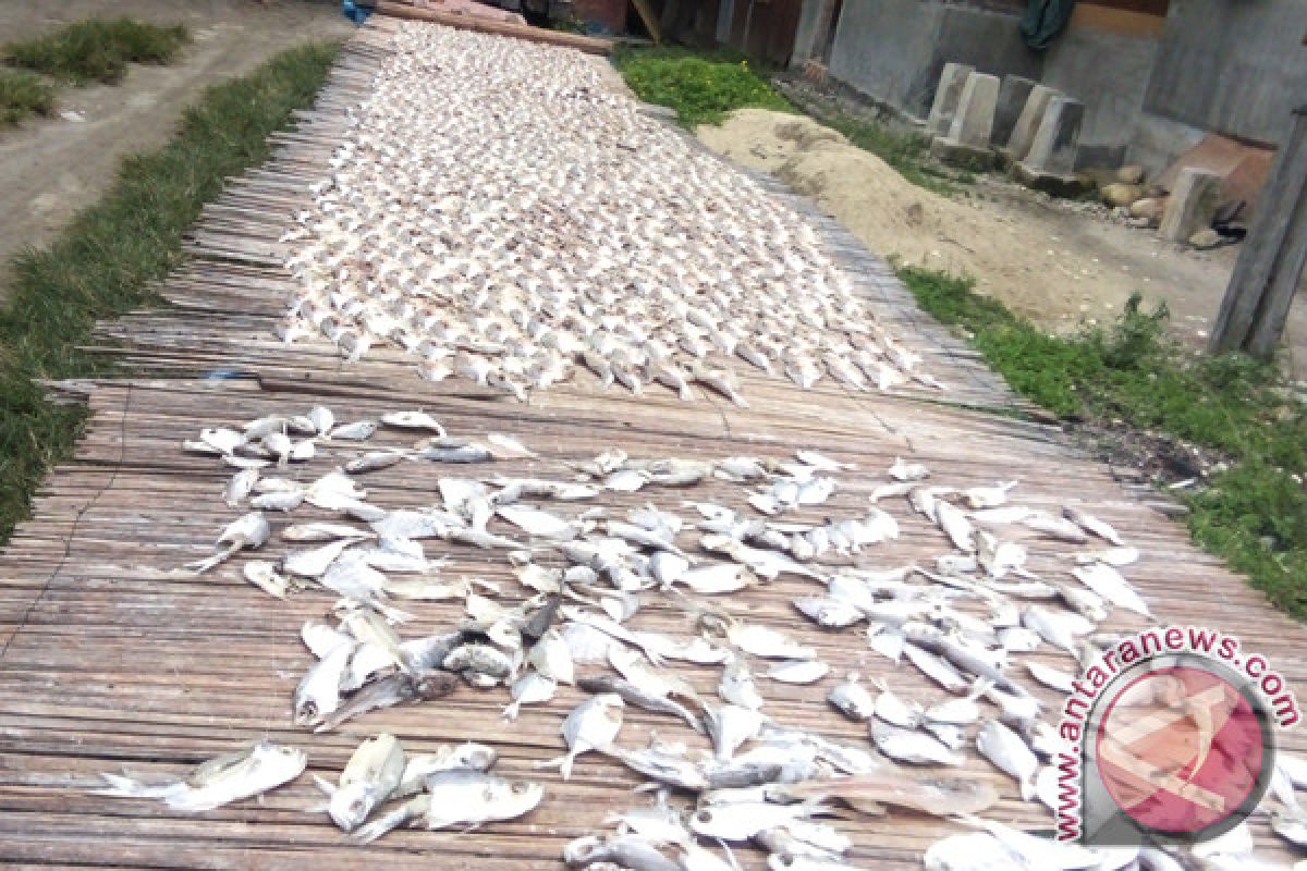 Pengusaha ikan rebus di Singkil kesulitan garam