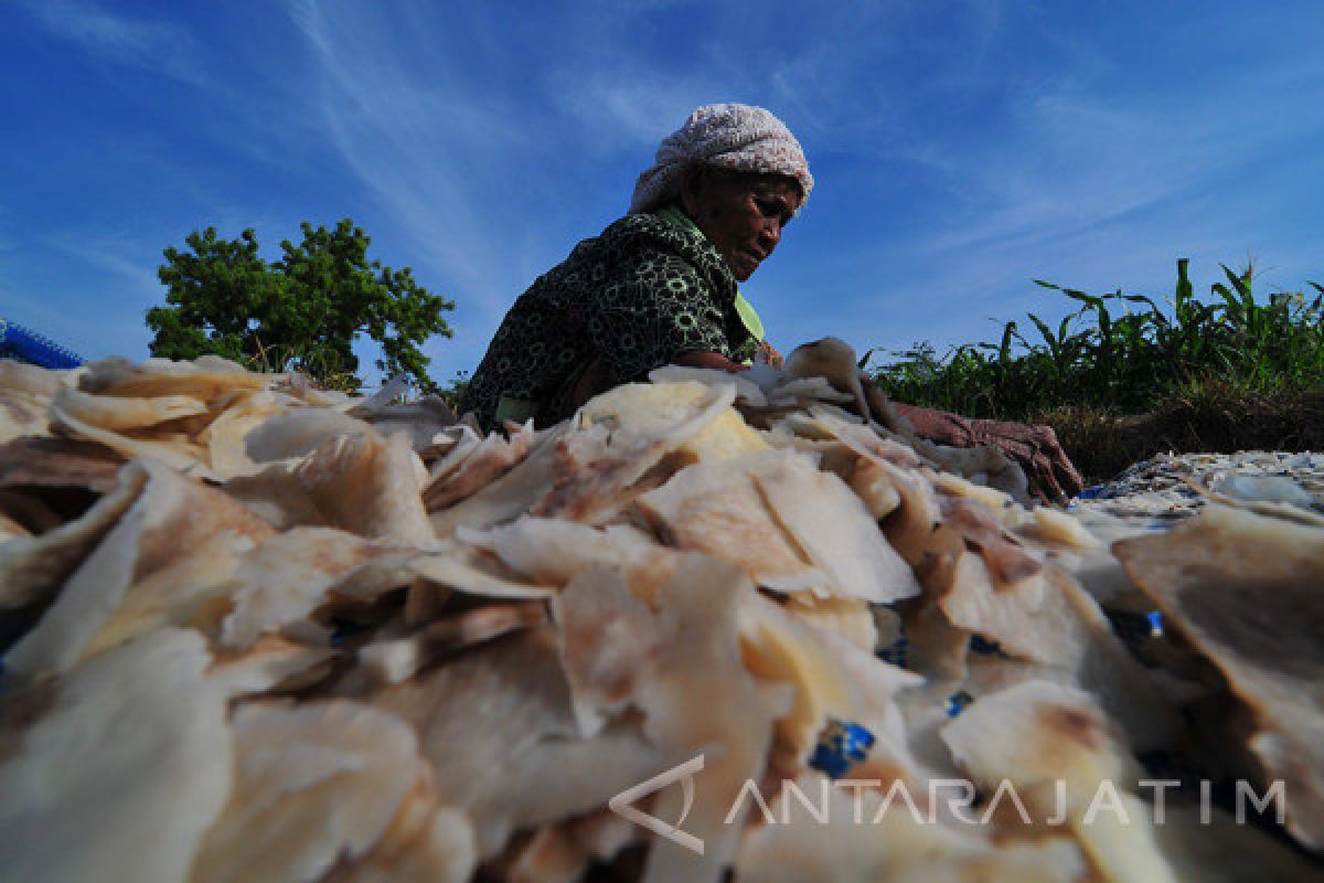 Produksi Kripik Gadung