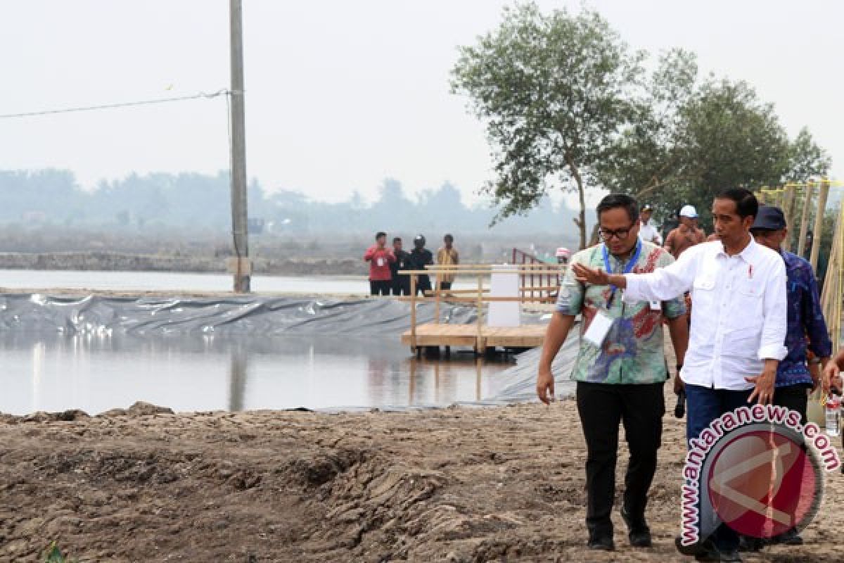 Lampung ditargetkan jadi lumbung udang nasional