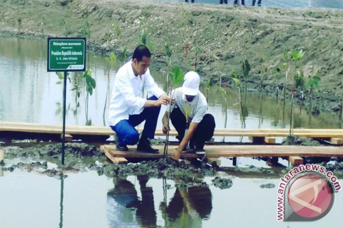 Presiden Jokowi Minta Pelayanan Masyarakat Ditingkatkan