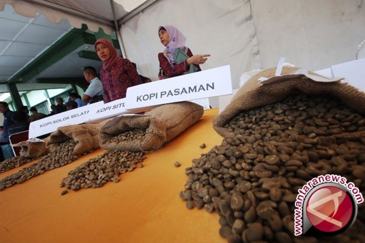 Toraja Layak Kembangkan Wisata Kebun Kopi