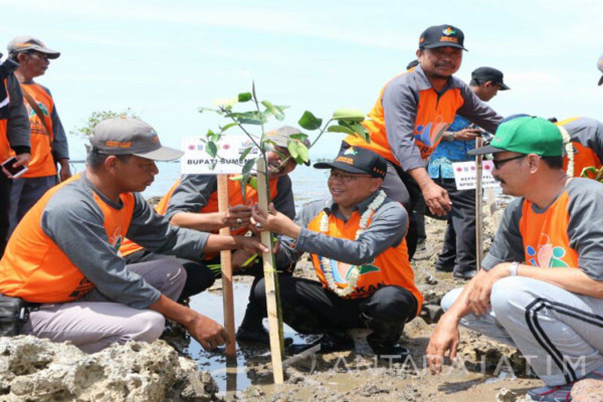 Forpimda Sumenep dan Relawan Tanam Seribu Mangrove (Video)