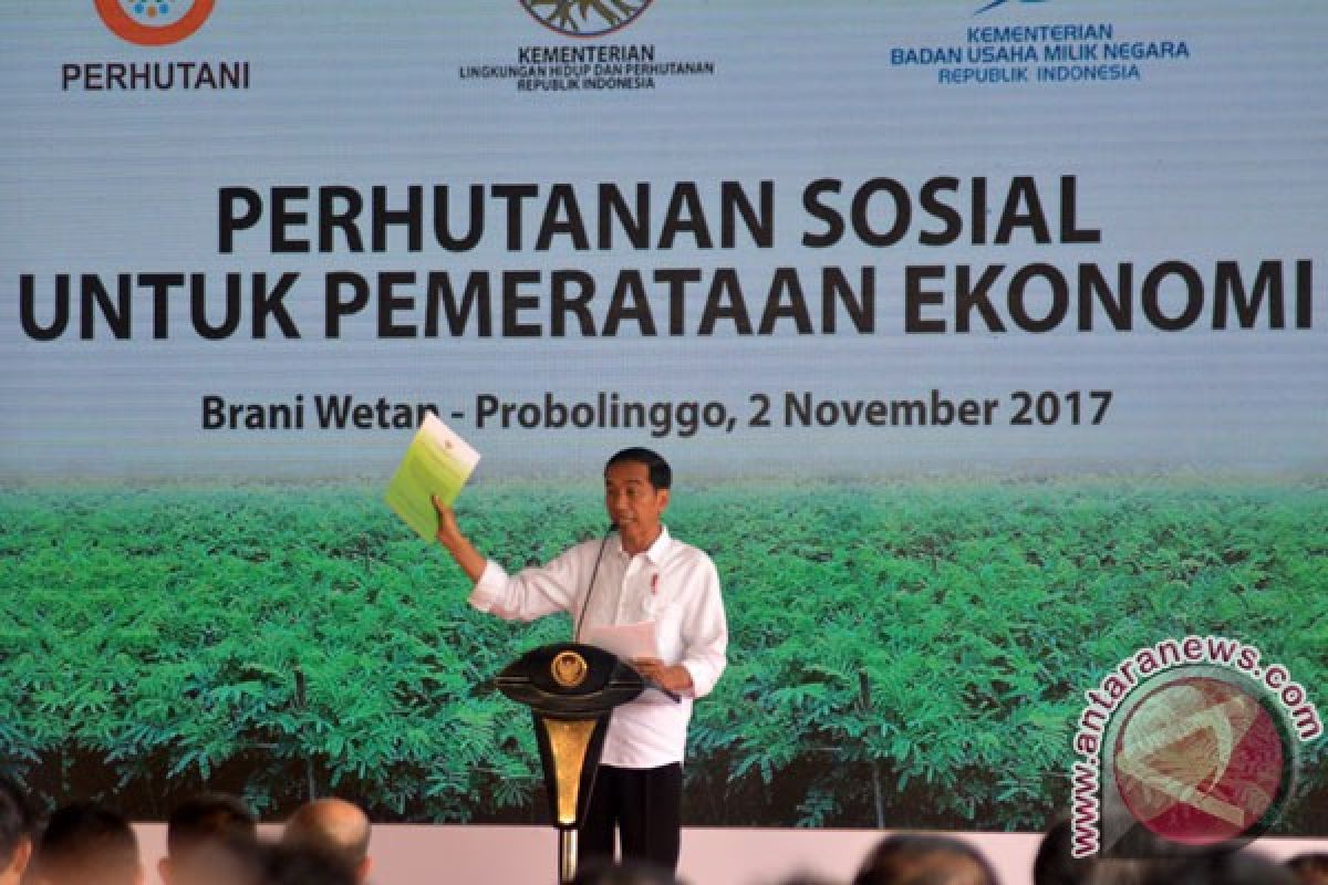 Perhutanan Sosial diyakini solusi kurangi deforestasi