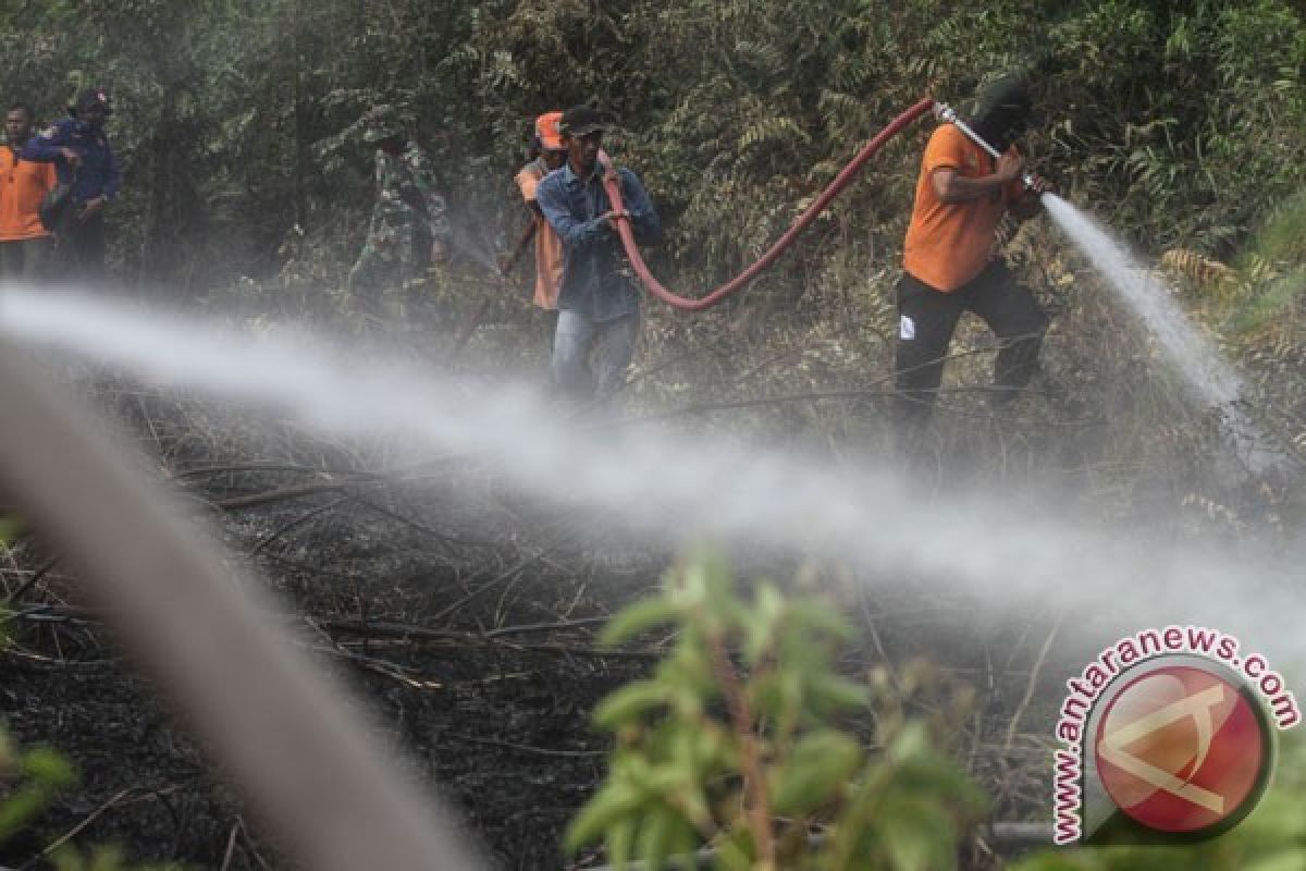 BMKG Deteksi 12 Titik Panas yang Mengindikasikan Terjadi Kabakaran Hutan di Riau