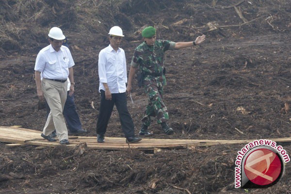 Pemerhati dari sembilan negara pelajari pengelolaan gambut Kalteng