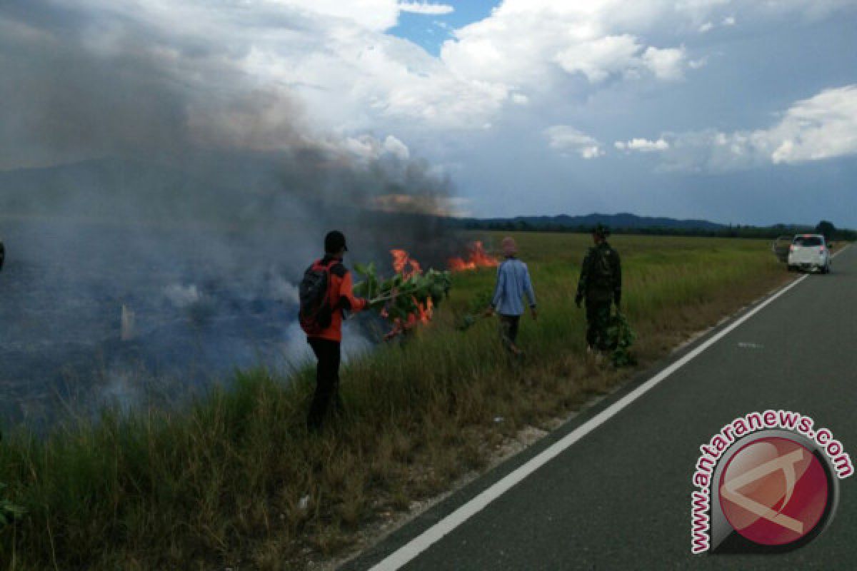 Kawasan Konservasi Tnraw Terbakar 