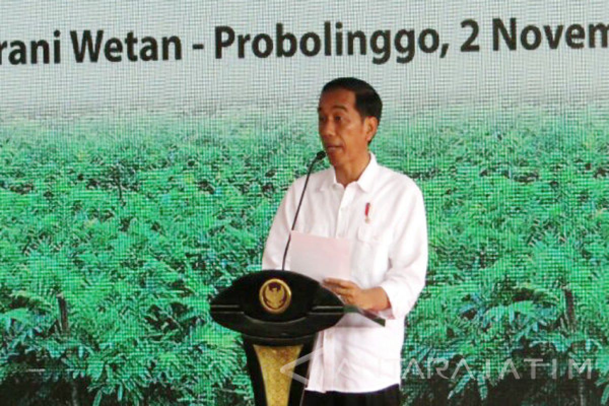 Jokowi Hopes Social Forestry Can Encourage Productive Community