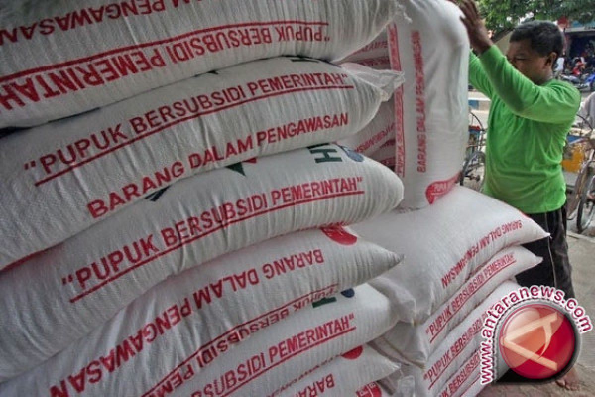 Petani resah meski kelangkaan pupuk teratasi