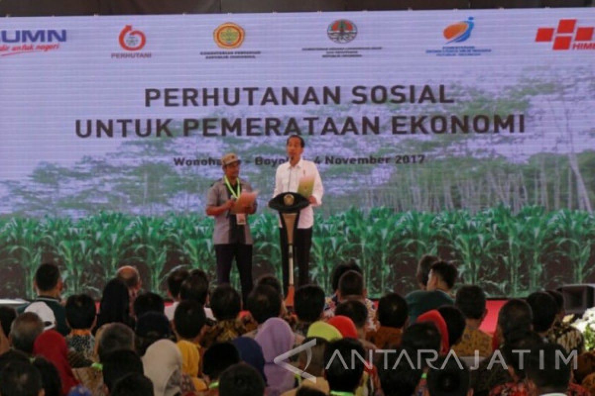 Presiden :  Program Perhutanan Sosial Untuk Tingkatkan Ekonomi Masyarakat