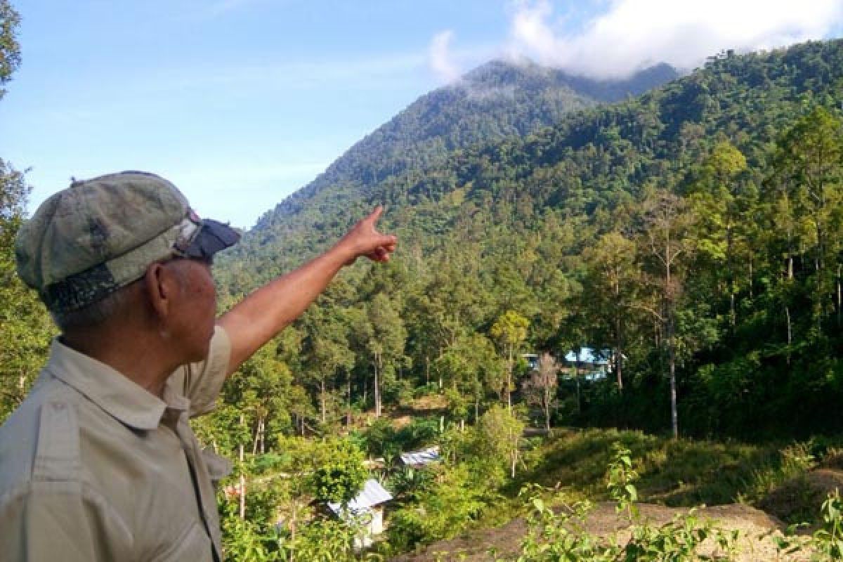 Menanti Demung Samin Di Punggung Sigurap