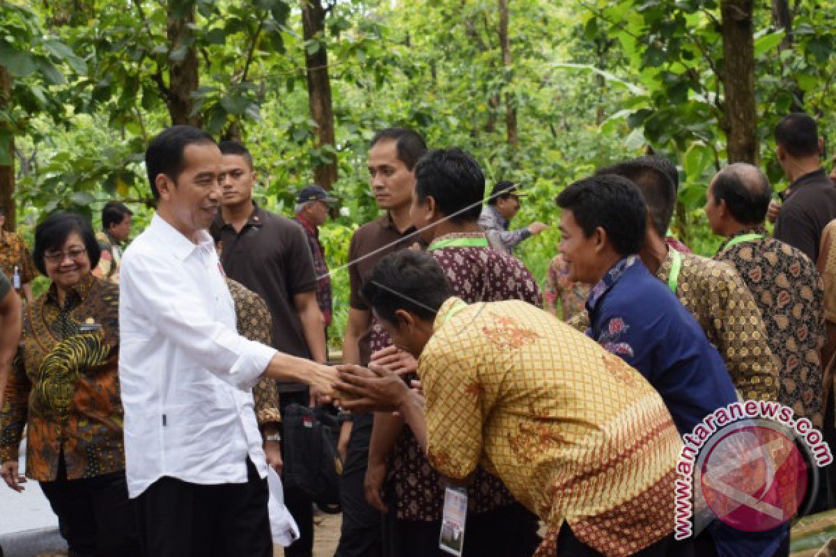 Presiden Jokowi ke Dungus Meninjau Perhutanan Sosial
