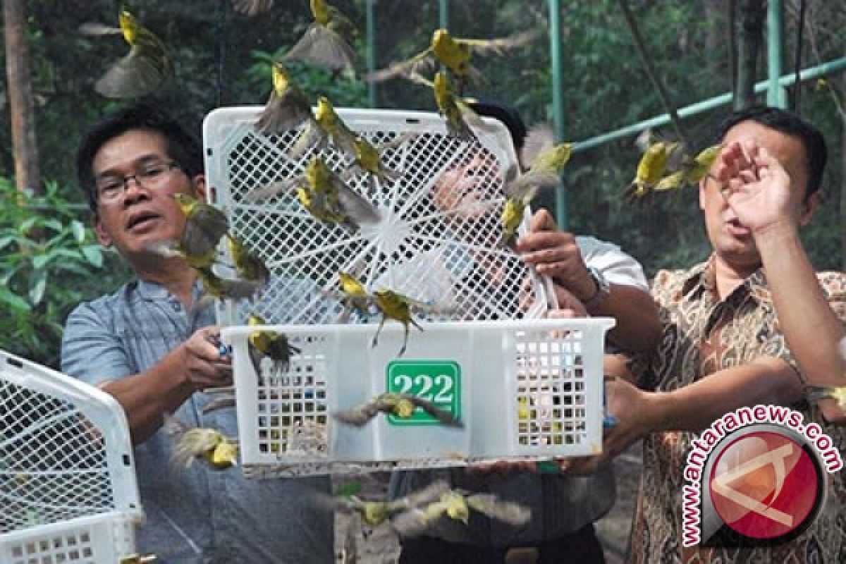 Disdag Mataram Sepakat Penggabungan Pasar Burung 