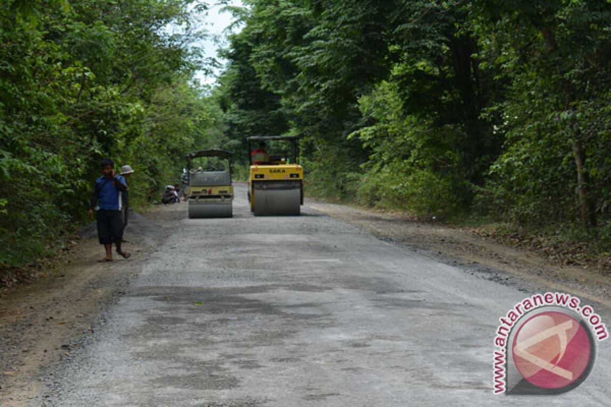 Jelang Festival Way Kambas Jalan Diperbaiki  