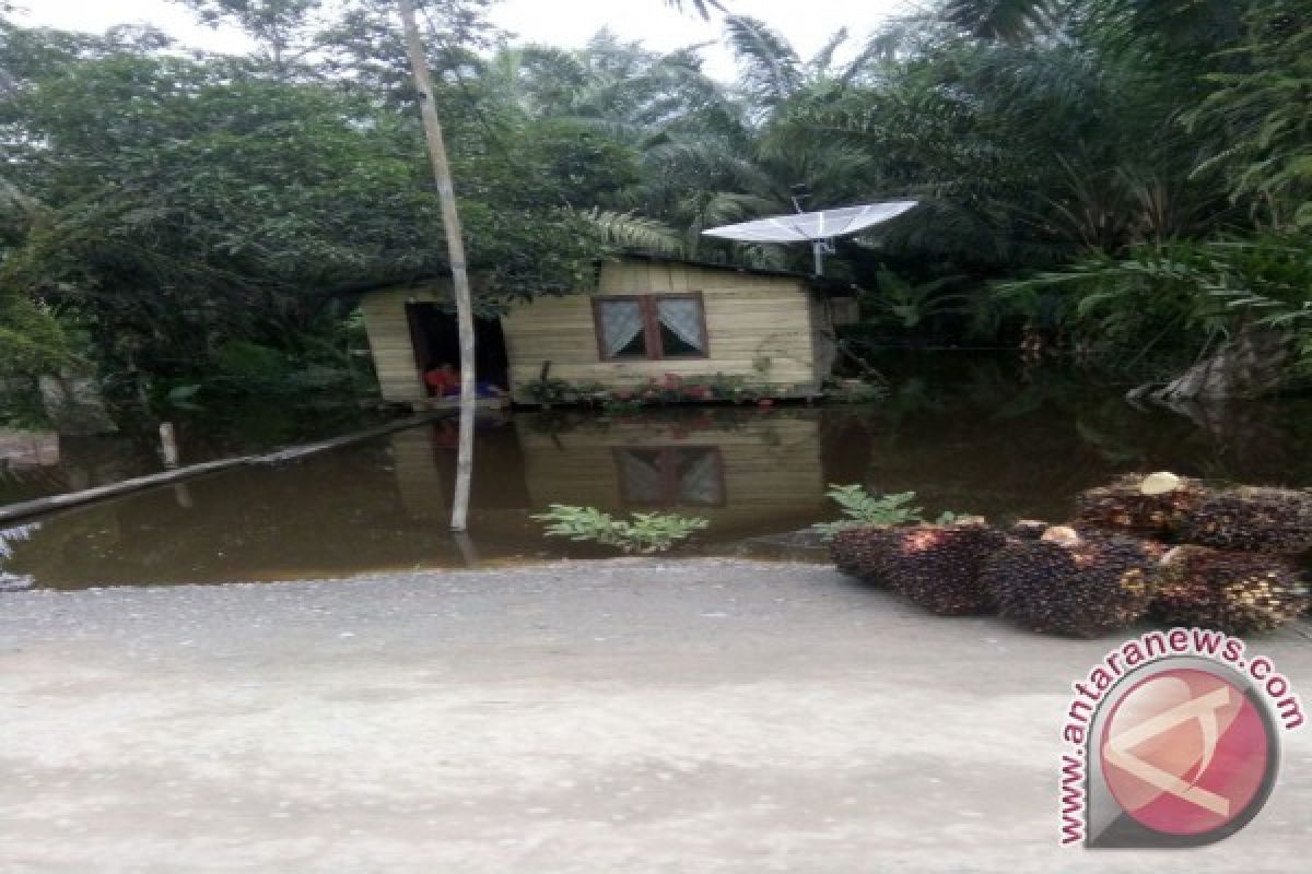 Di Asahan 3.871 Rumah Terendam Banjir