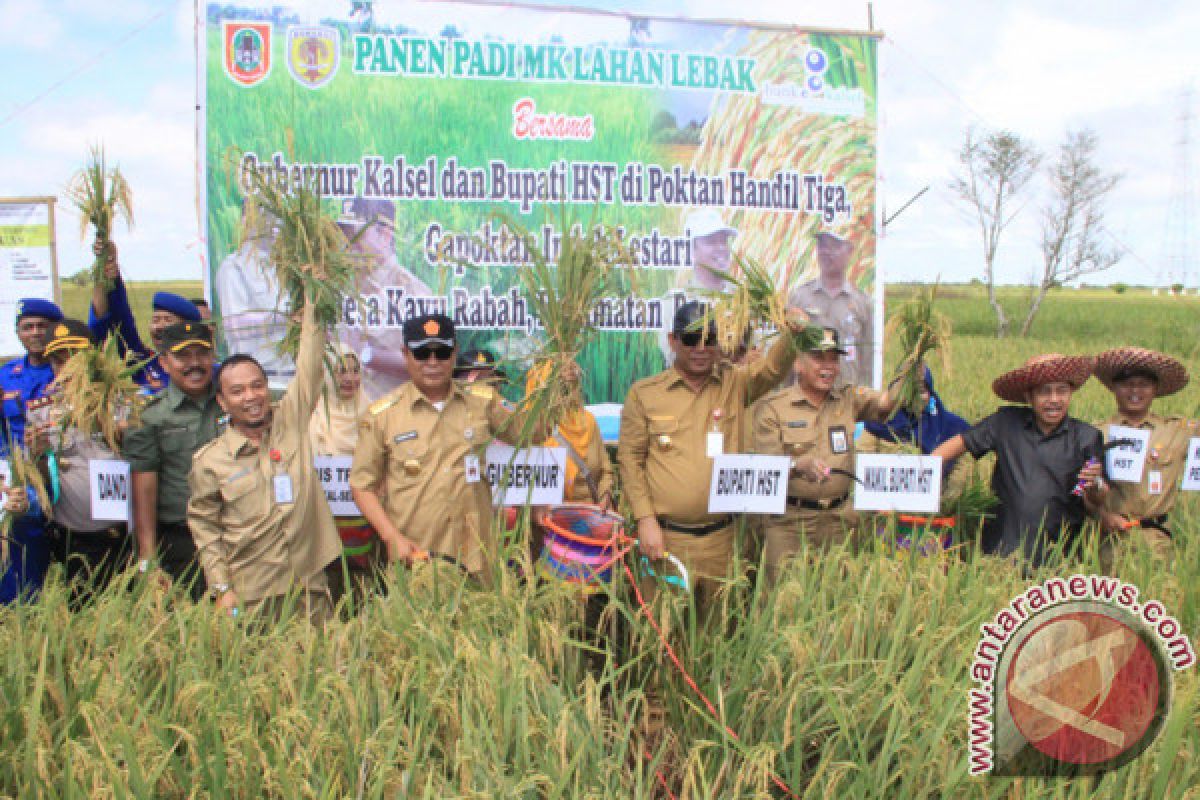 Govt Targets 86 Thousands Hectares Rice Plant in Tapin
