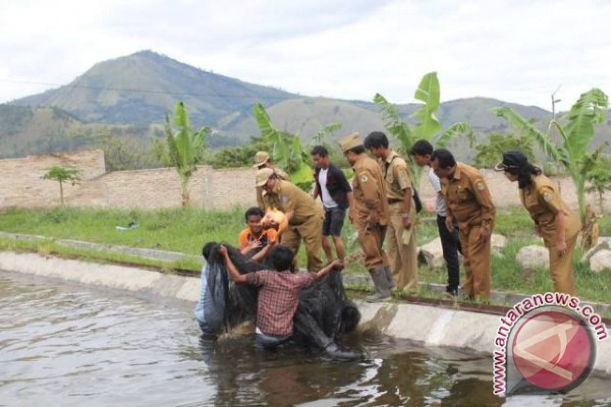 Bupati Samosir Tinjau Balai Benih Ikan