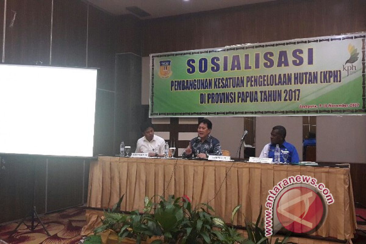 Pemprov Papua sosialisasikan pembangunan kesatuan pengelolaan hutan 