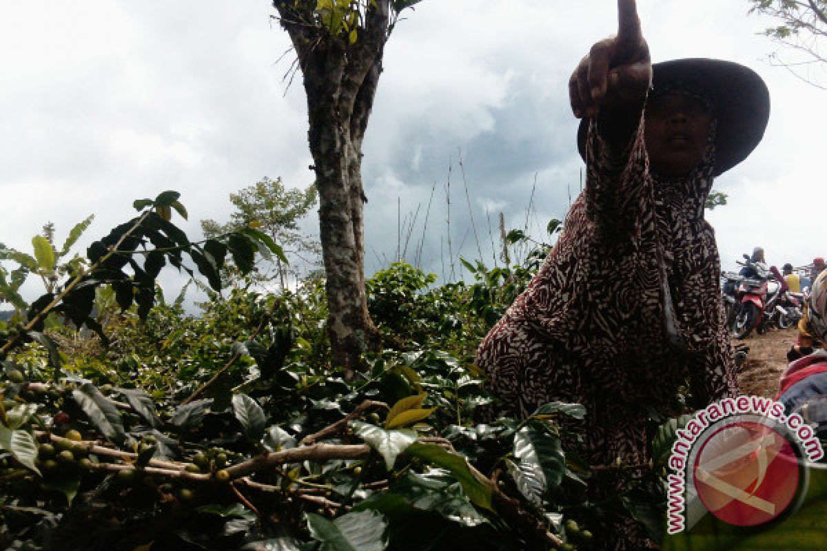 Ancaman kawasan TNKS Kerinci masih tinggi