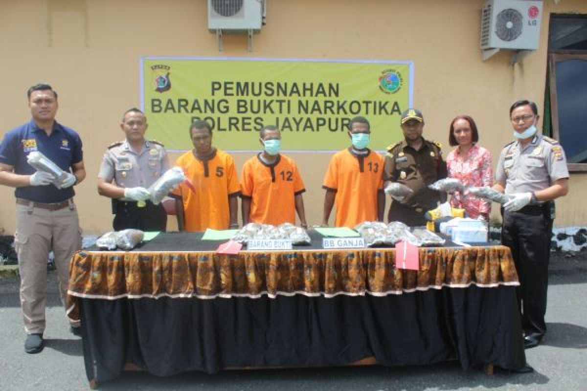 Polres Jayapura musnahkan empat kilogram ganja