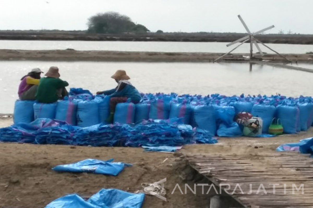 Harga Garam Rakyat di Sumenep Turun