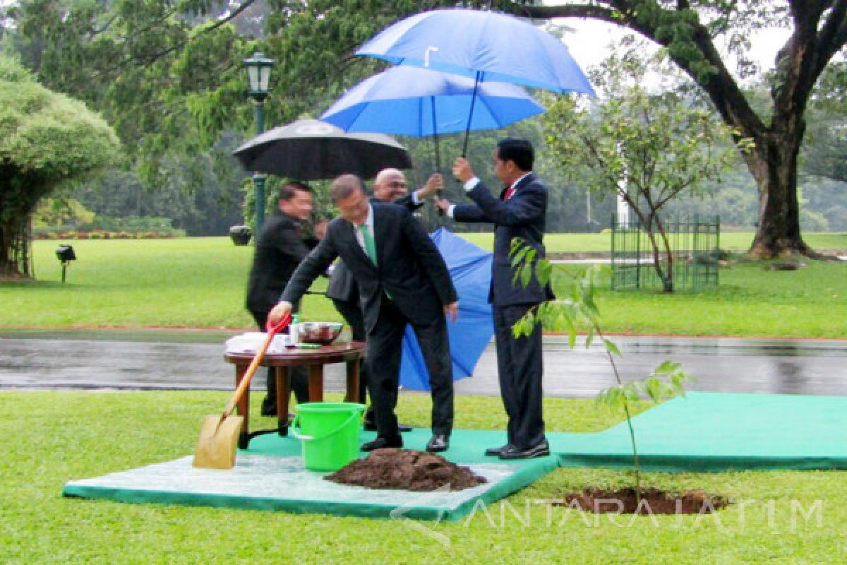 Presiden RI Terima Kunjungan Presiden Korsel (Video)