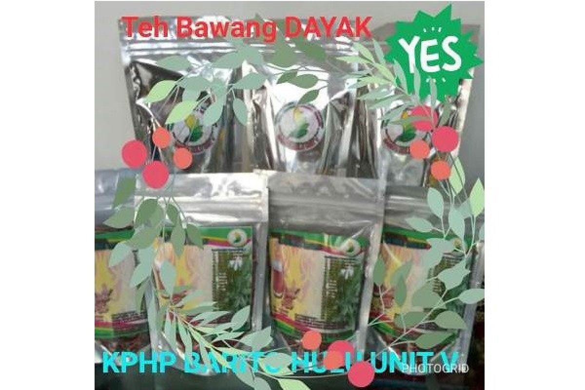 Teh Bawang Dayak Dipasarkan, Per Kemasan Rp50.000