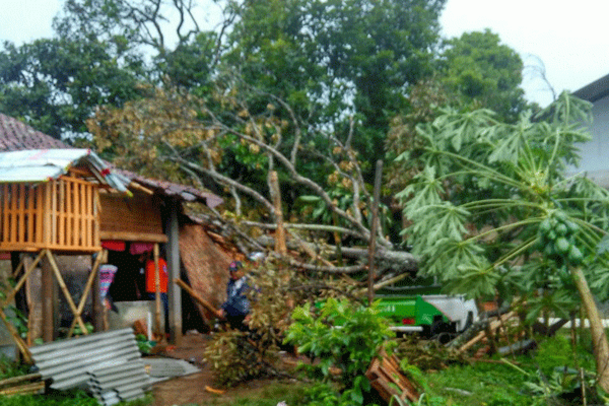 Angin Puting Beliung Rusak Puluhan Rumah Di Sukabumi