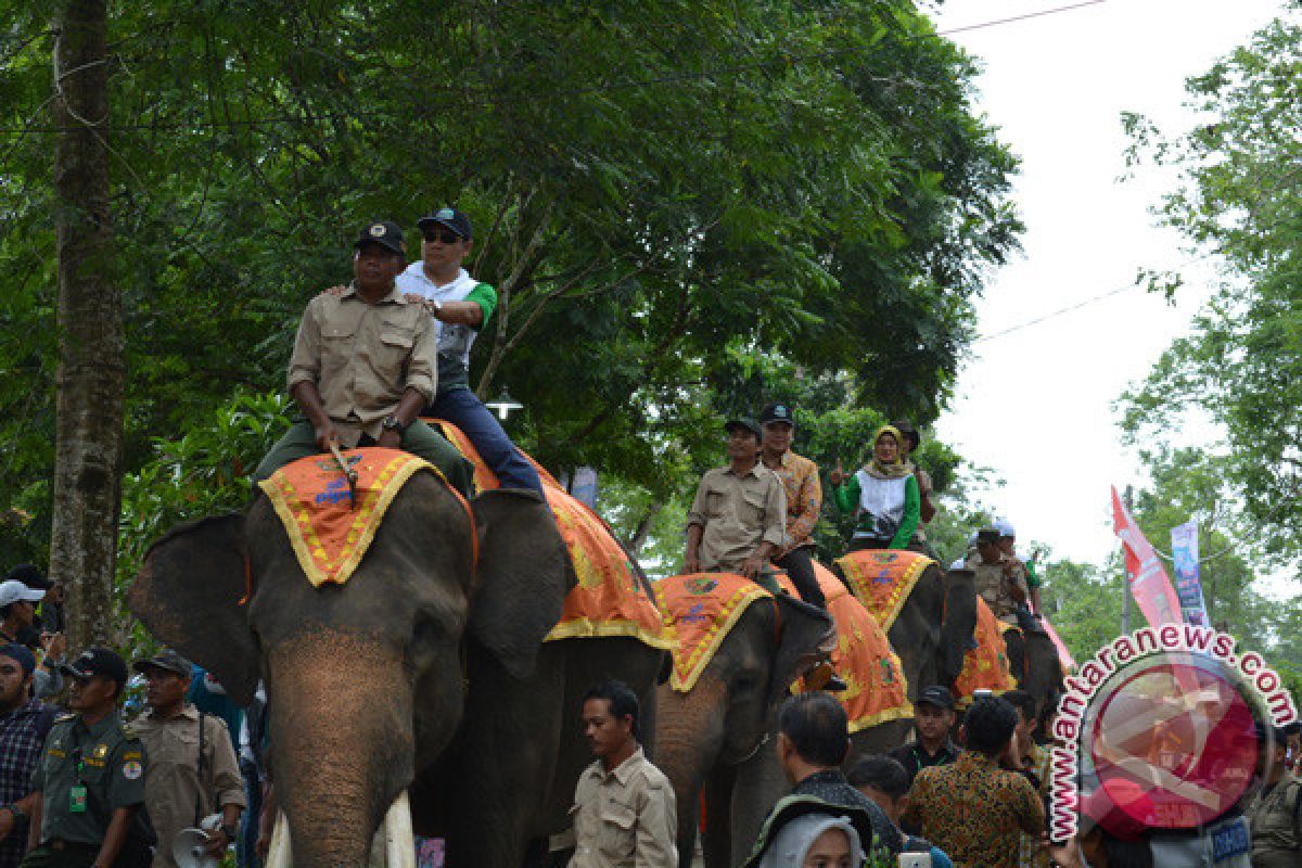 Pembukaan FWK 2017 Dimeriahkan Parade Gajah 