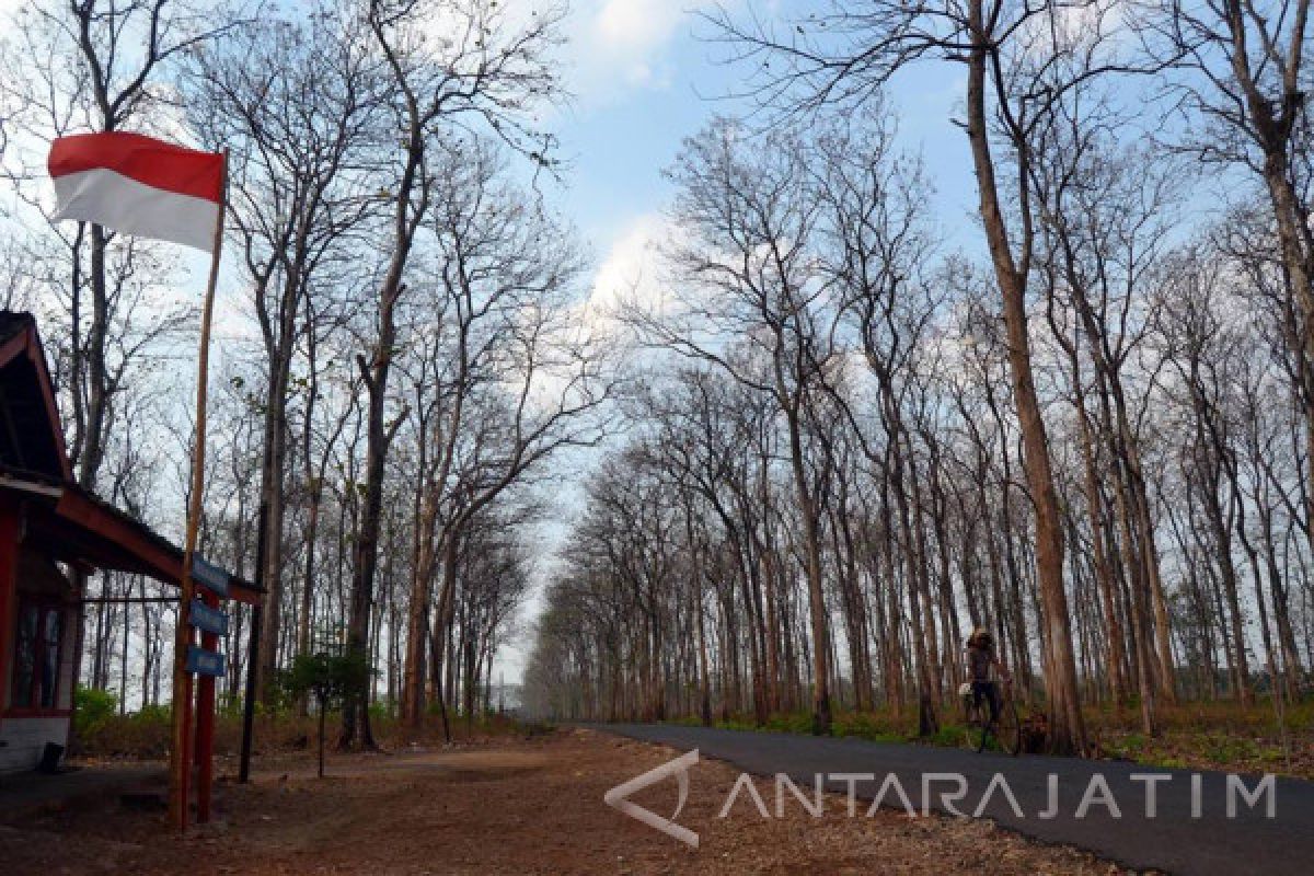 Ruas Jalan Hutan Bojonegoro Bukan Prioritas Perbaikan