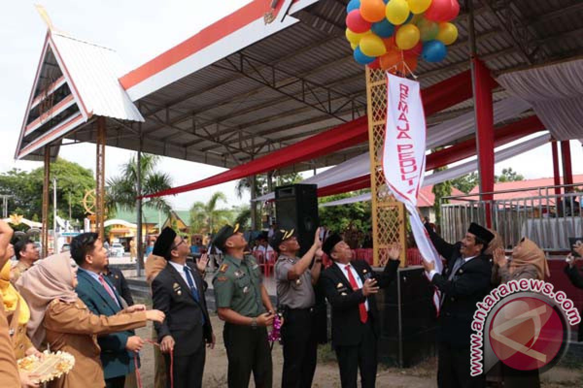 Wabup Bulukumba Launching Duta Remaja Peduli Anemia