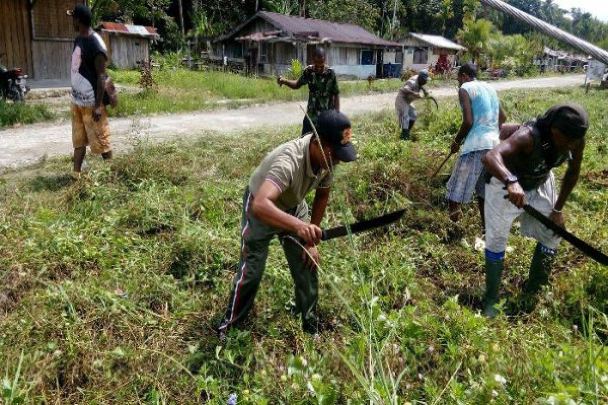 Babinsa Yapen Timur dampingi petani asli Papua tingkatkan hasil pertanian