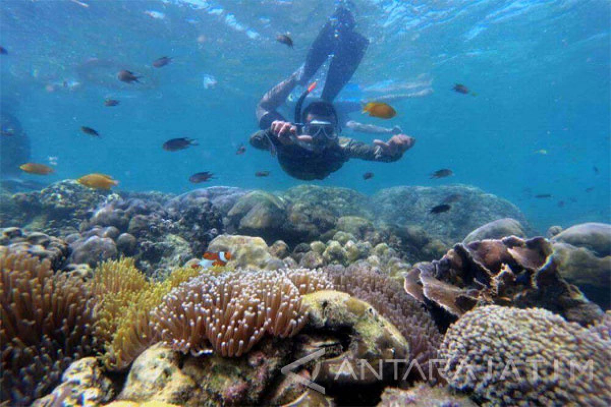Serunya Bersnorkeling di Pulau Gili Ketapang Probolinggo (Video)