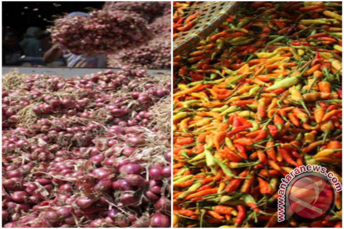 Harga cabai rawit dan bawang normal