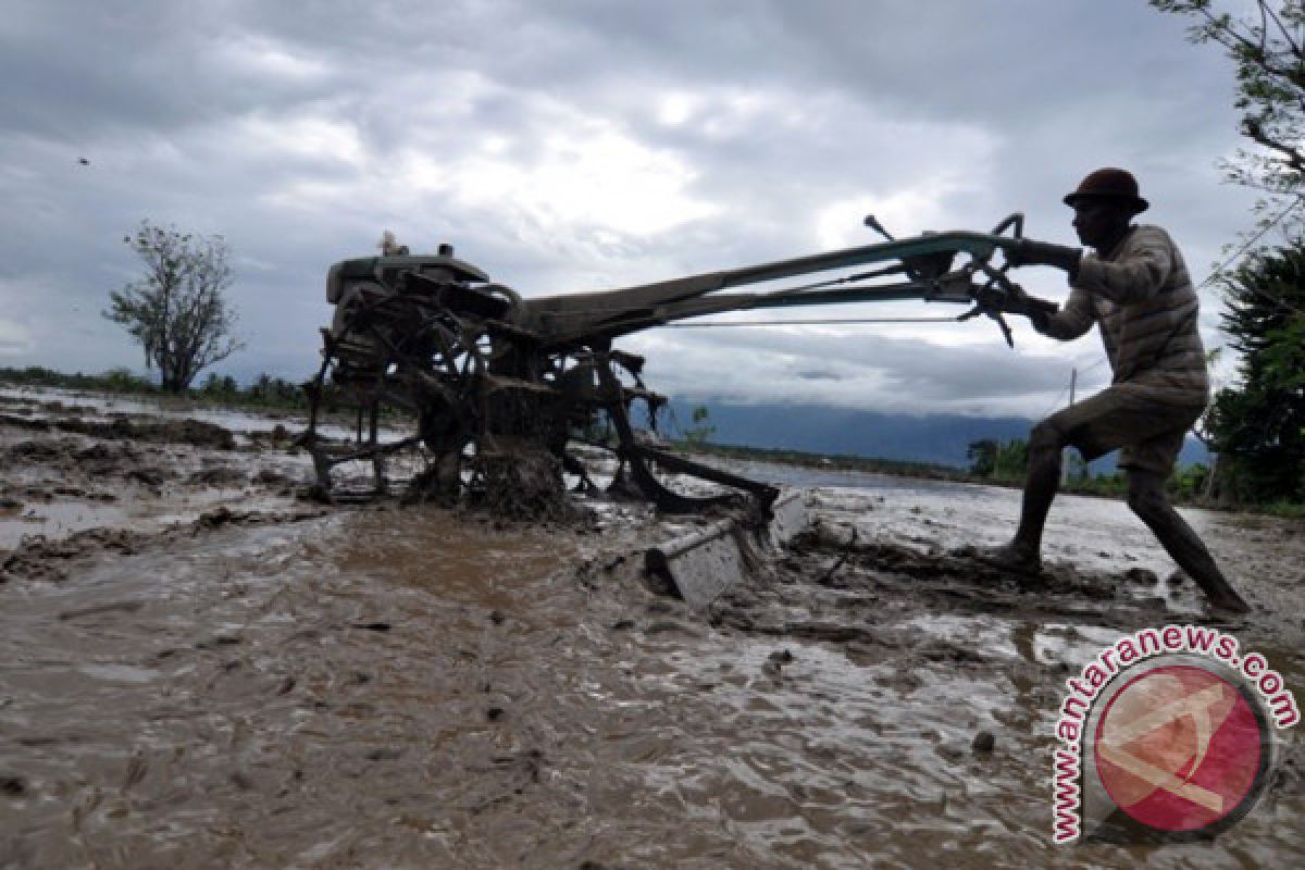 453 hektare sawah tadah hujan Parigi Moutong