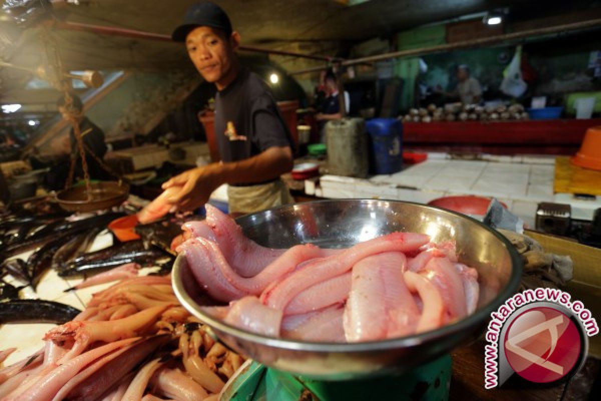 Harga ikan gabus giling mulai turun usai Lebaran