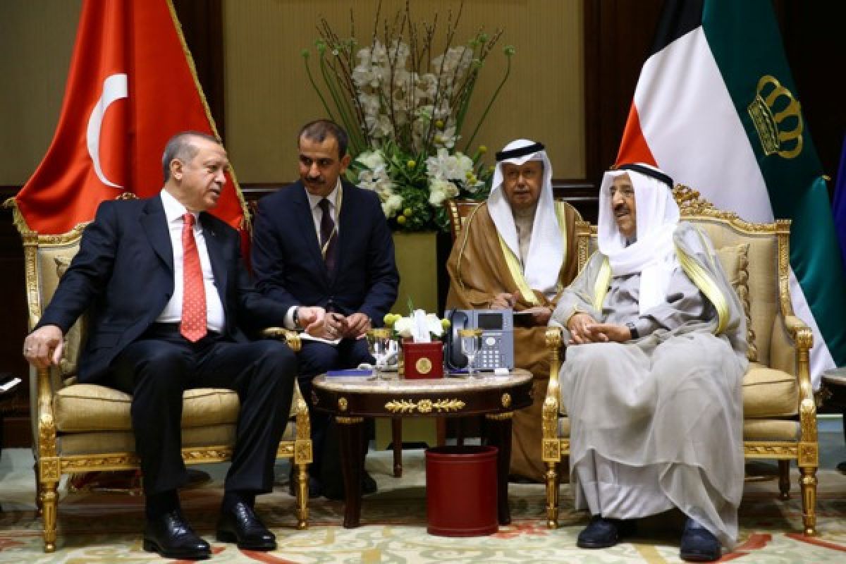 Presiden Turki janjikan dukungan militer bagi Qatar