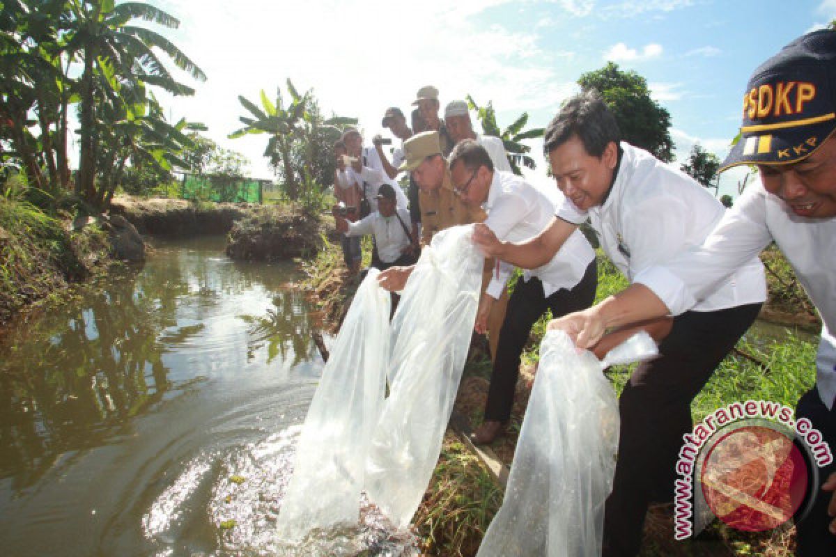 Tapin Kembangkan Sentral ikan Lokal di CLS