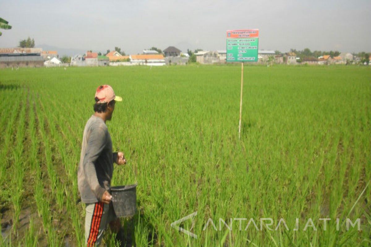 7.541 Ton Pupuk Bersubsidi Tambahan untuk Kabupaten Probolinggo