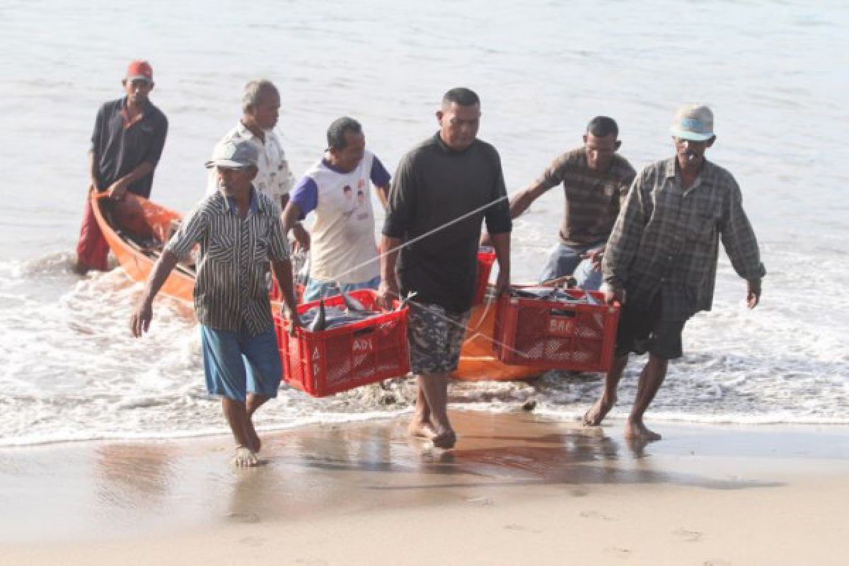 Nelayan Gunung Kidul panen tangkapan ikan layur 