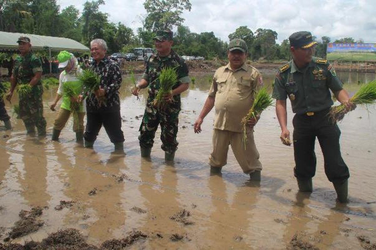 Zeni AD realisasikan cetak sawah baru di Merauke